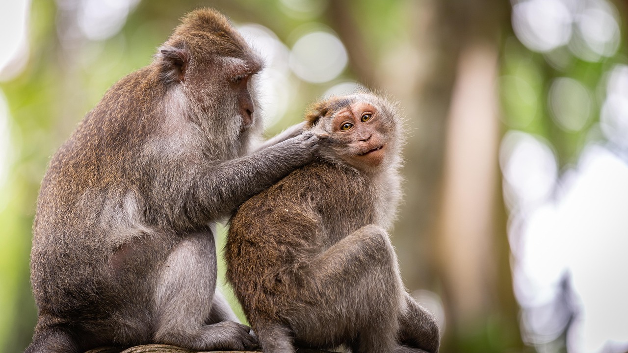 Analyse sociologique des comportements environnementaux : comprendre les motivations et les freins des individus
