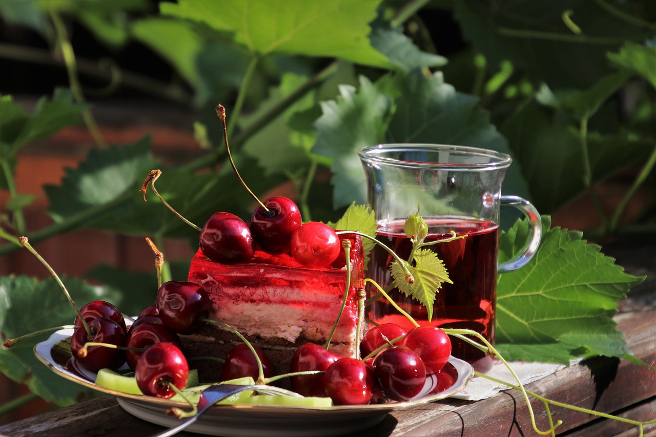 Jardinage bio balcon : astuces essentielles pour cultiver sainement sur votre terrasse