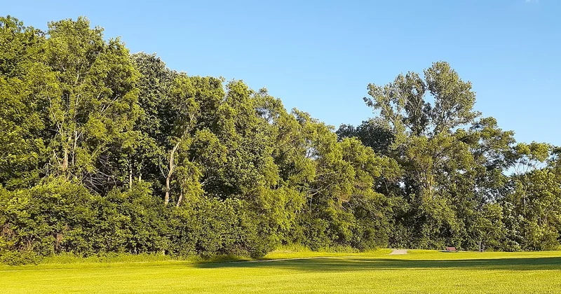 Pourquoi le Nebraska n'est pas une forêt oubliée qu'on aurait rasée