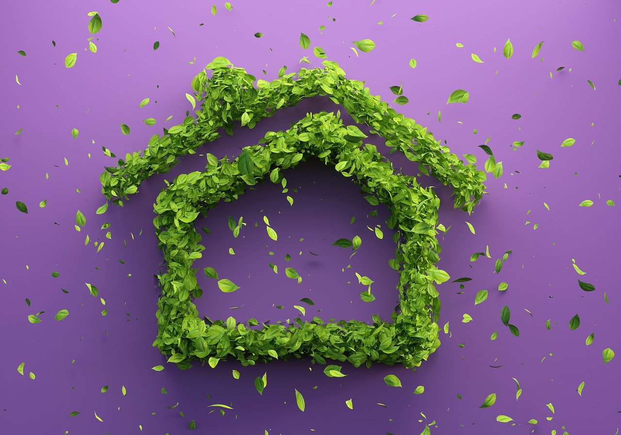Les choix de consommation responsables pour protéger la biodiversité