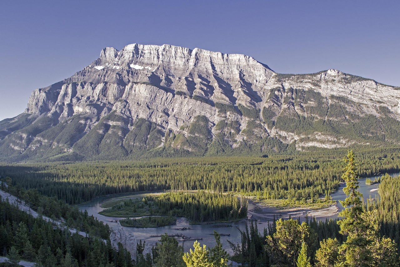 Explorer les enjeux actuels de notre environnement : défis et solutions durables