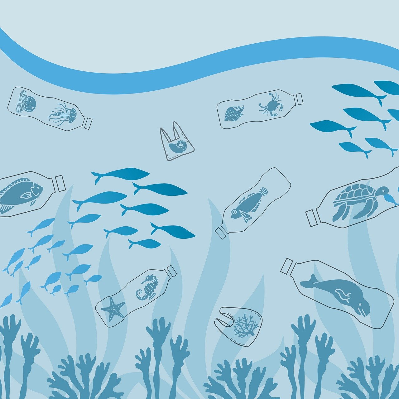 Les effets du plastique sur les océans et leur biodiversité