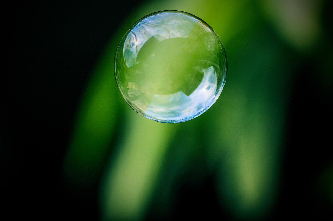 Clarté et Ouverture : Les Fondements de la Transparence
