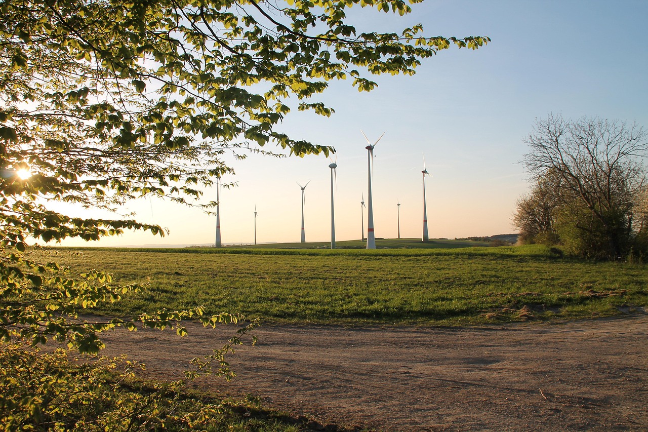 Technologies de conservation : Innover pour préserver notre patrimoine naturel