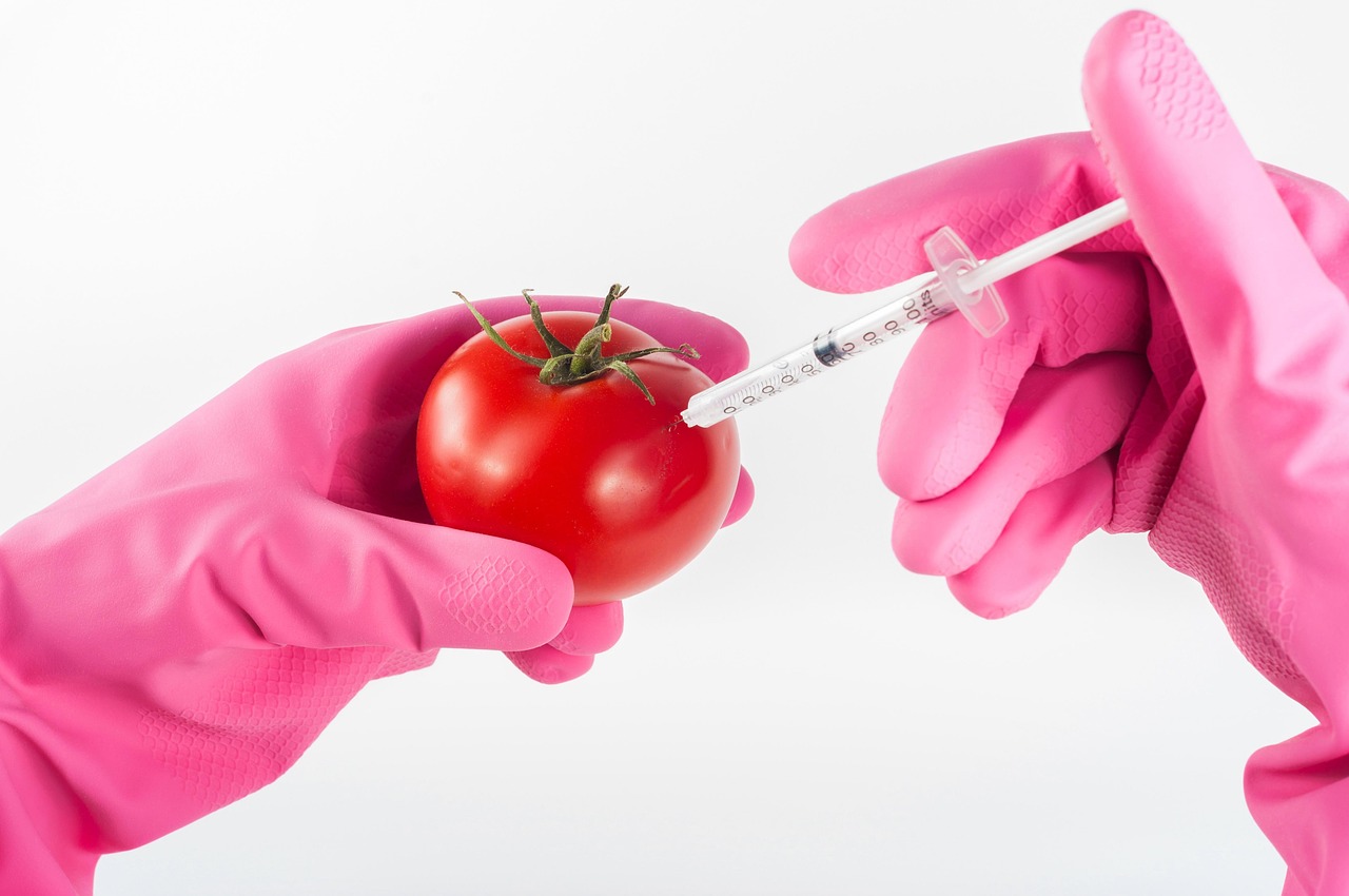 Comprendre les OGM et leurs impacts sur la biodiversité