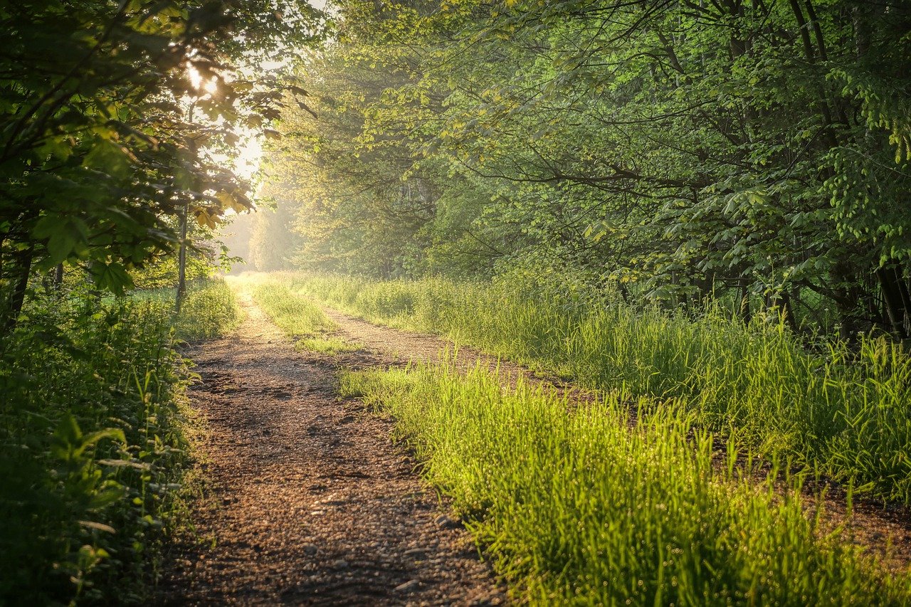 Tracez votre propre chemin