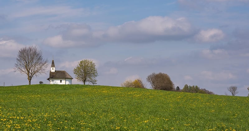 Reboisement des prairies du Nebraska : un climat qui change la donne