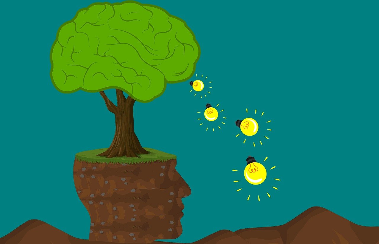 Comprendre l’importance de la formation en environnement pour un avenir durable