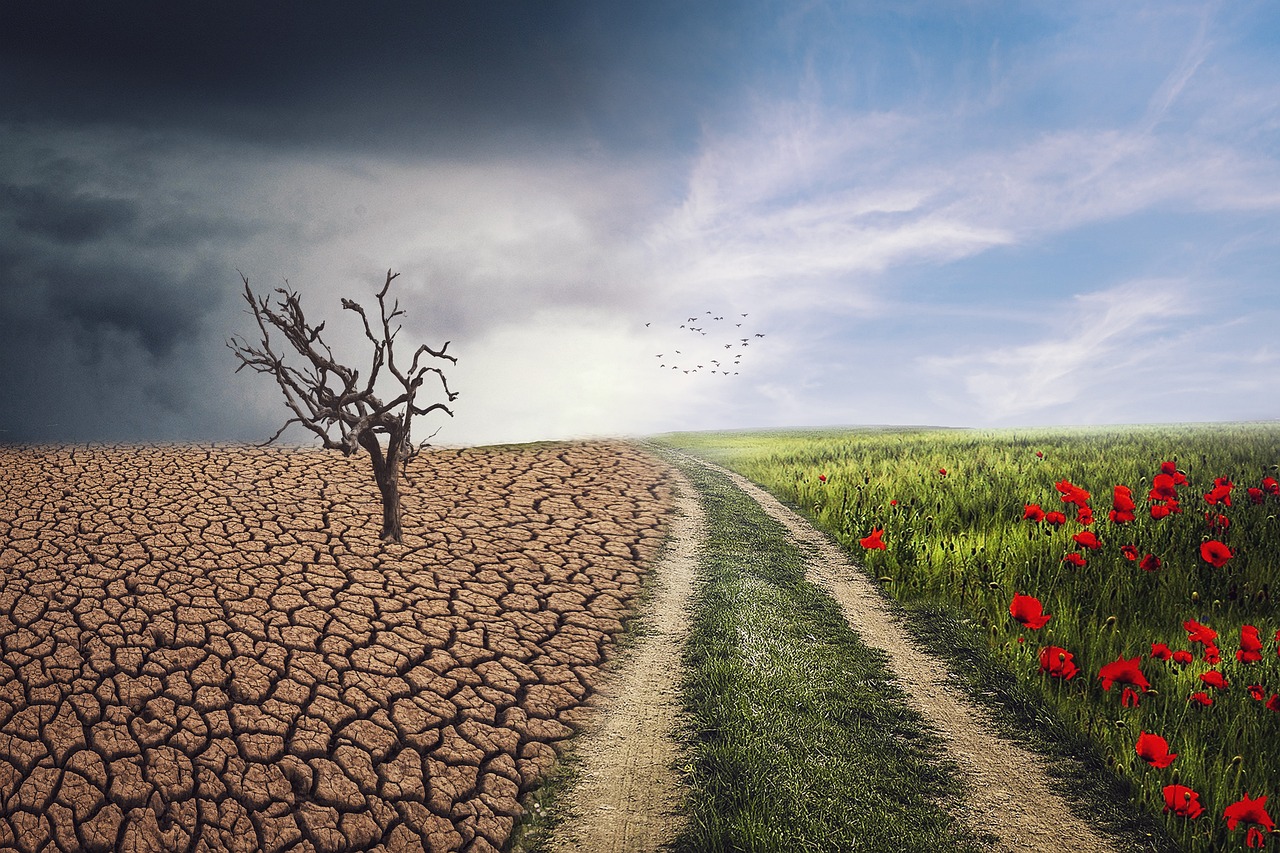 Changements climatiques : les enjeux de la recherche scientifique