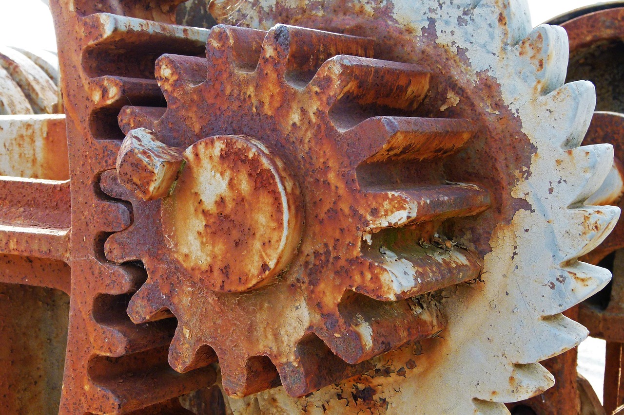 Explorer les synergies et les compromis entre la lutte contre le changement climatique et la préservation de la biodiversité