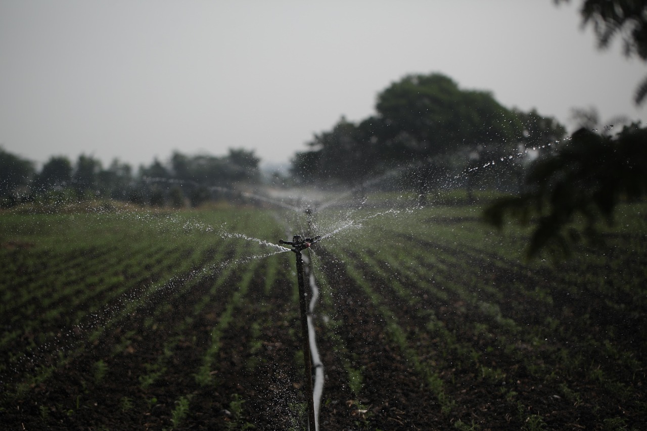 Nouvelles politiques de l’eau : vers une gestion durable des ressources hydriques