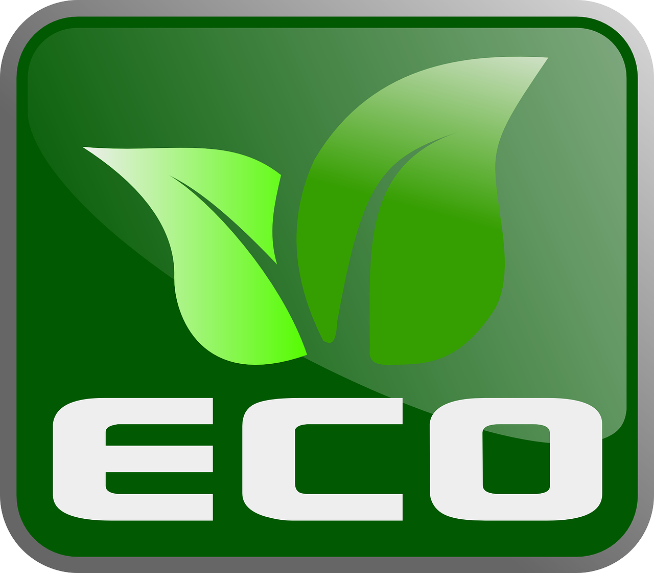 L’importance de l’économie verte pour un avenir durable