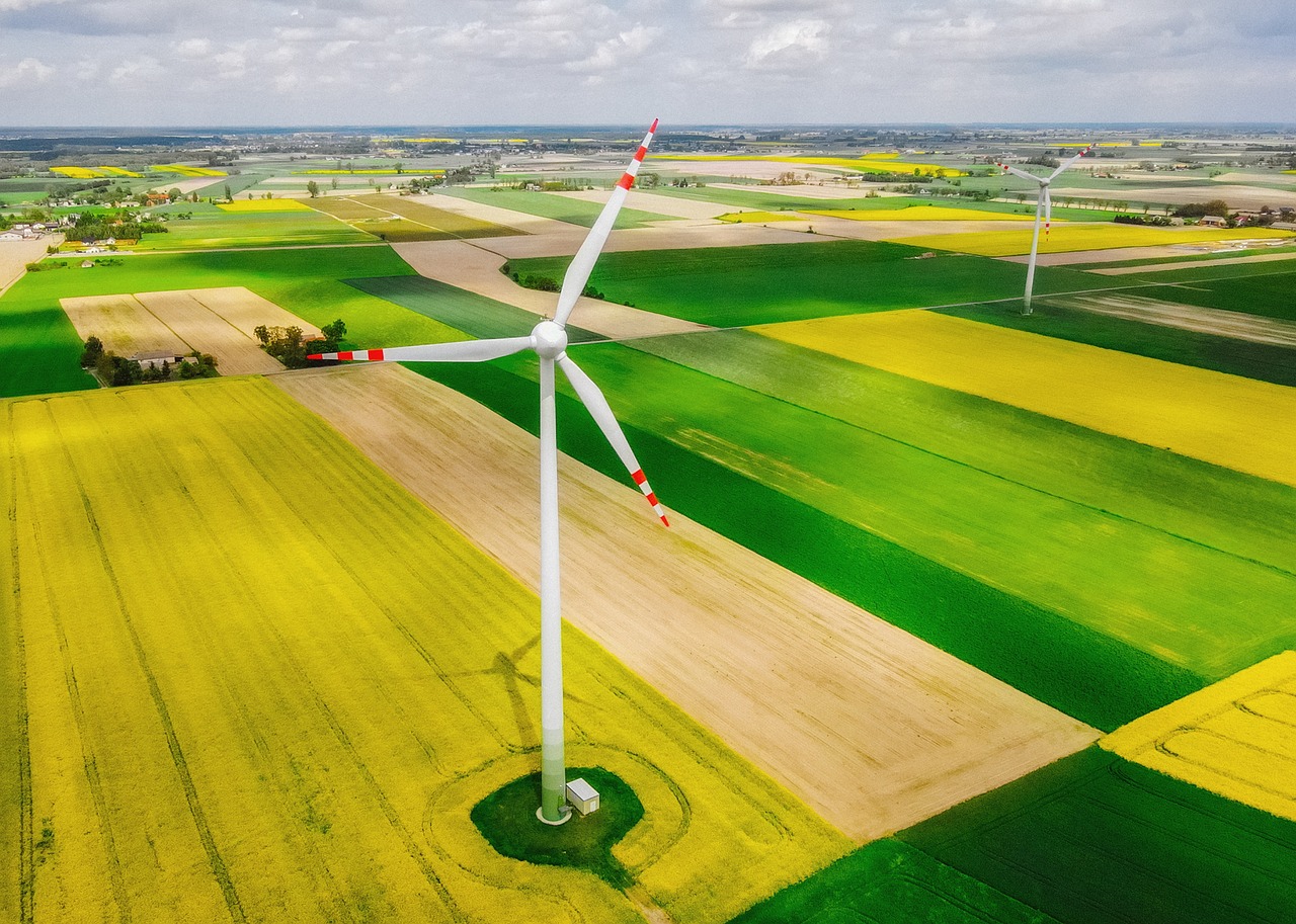 Comment intégrer l’écologie dans toutes les matières