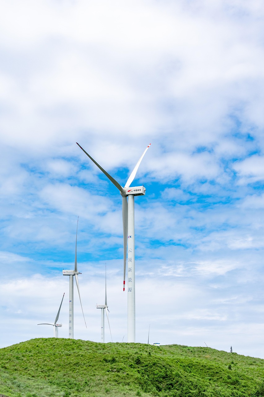 Formation professionnelle environnementale : développer des compétences durables pour un avenir meilleur