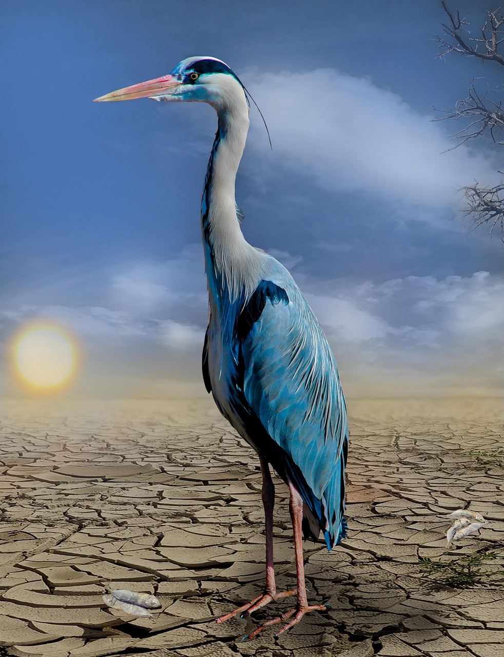 Un allié du climat en quête de soutien : quelles en sont les implications ?