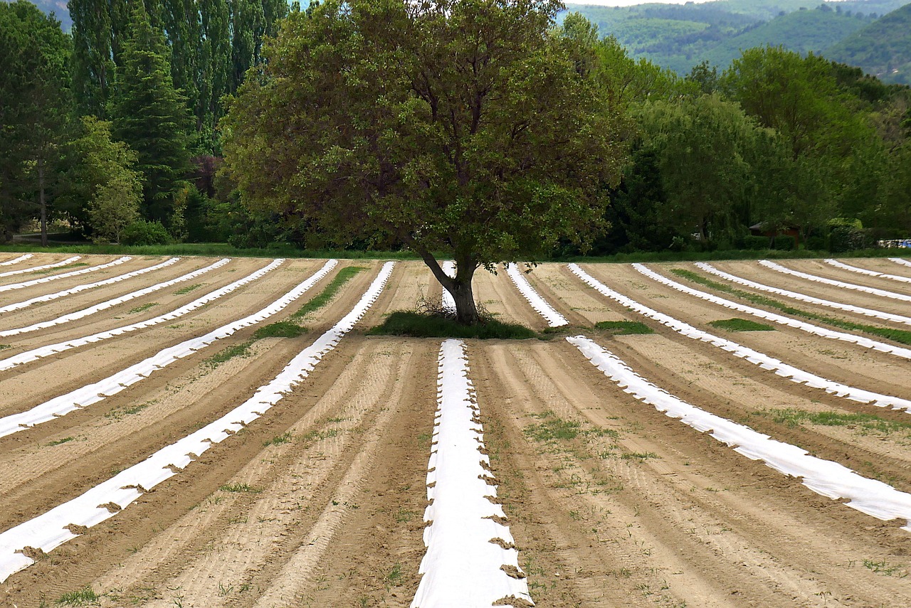 L’agroécologie pour préserver la biodiversité