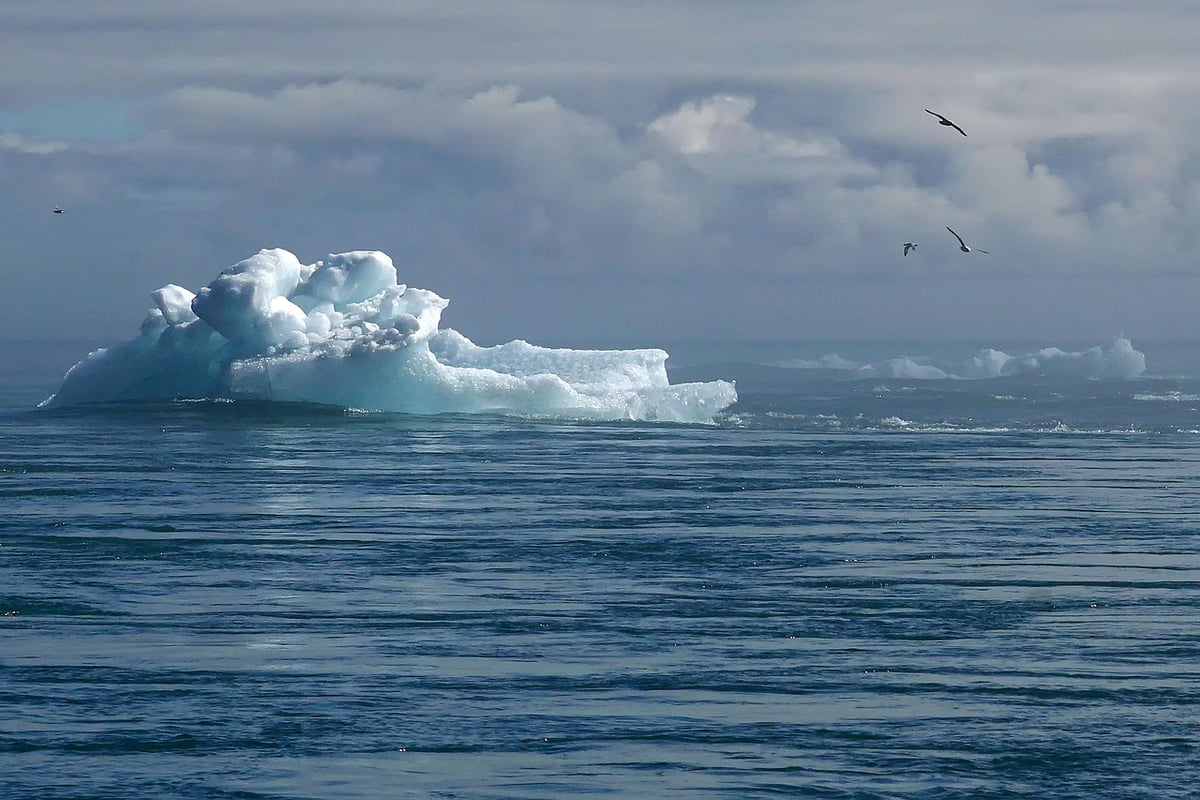 La convention citoyenne pour le climat : une évolution vers un droit constitutionnel adaptable ?