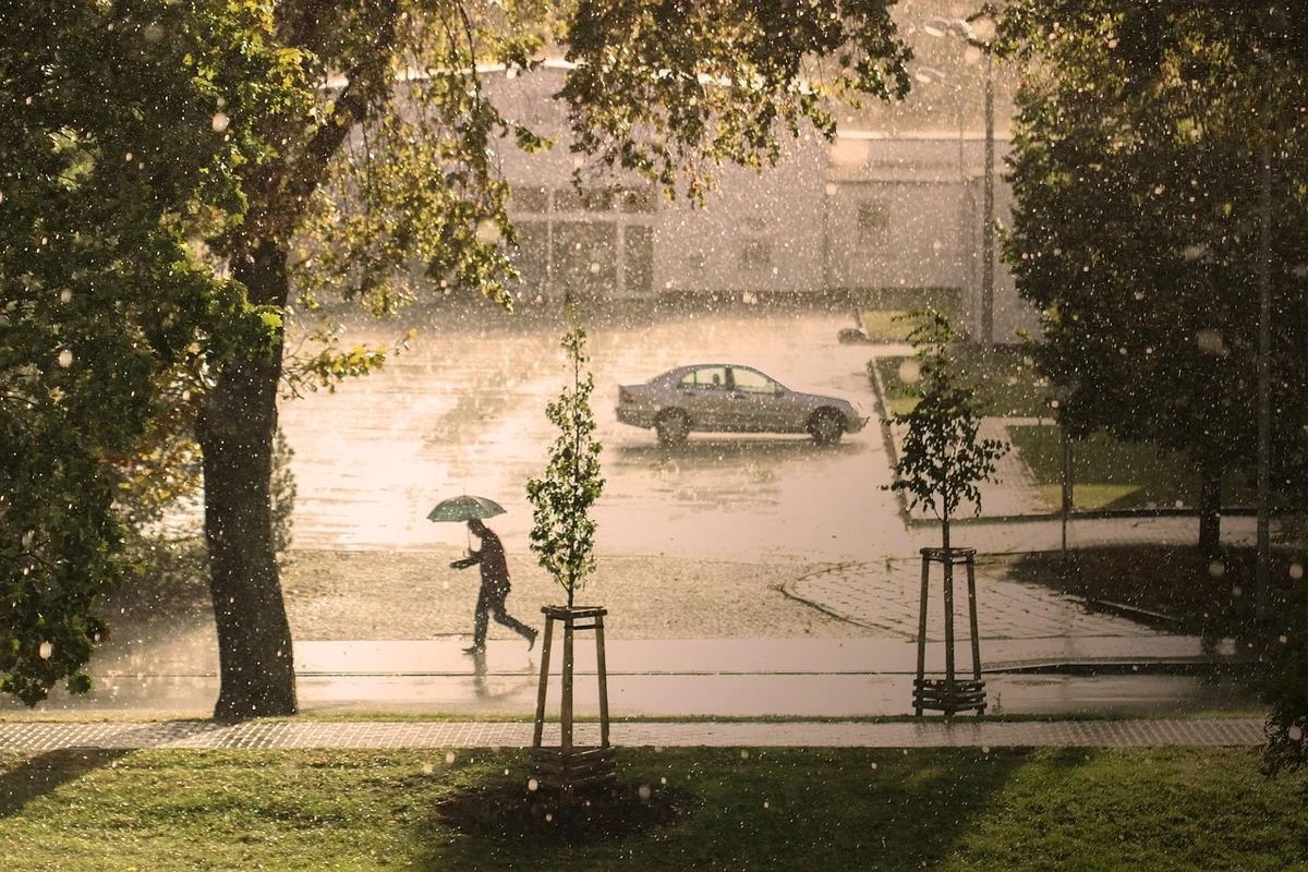 Comment les villes s'adaptent-elles au changement climatique ?