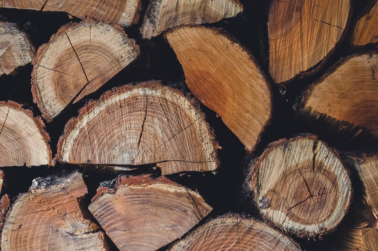 Les Pays du Sud Global peuvent-ils échapper au piège de la déforestation ?
