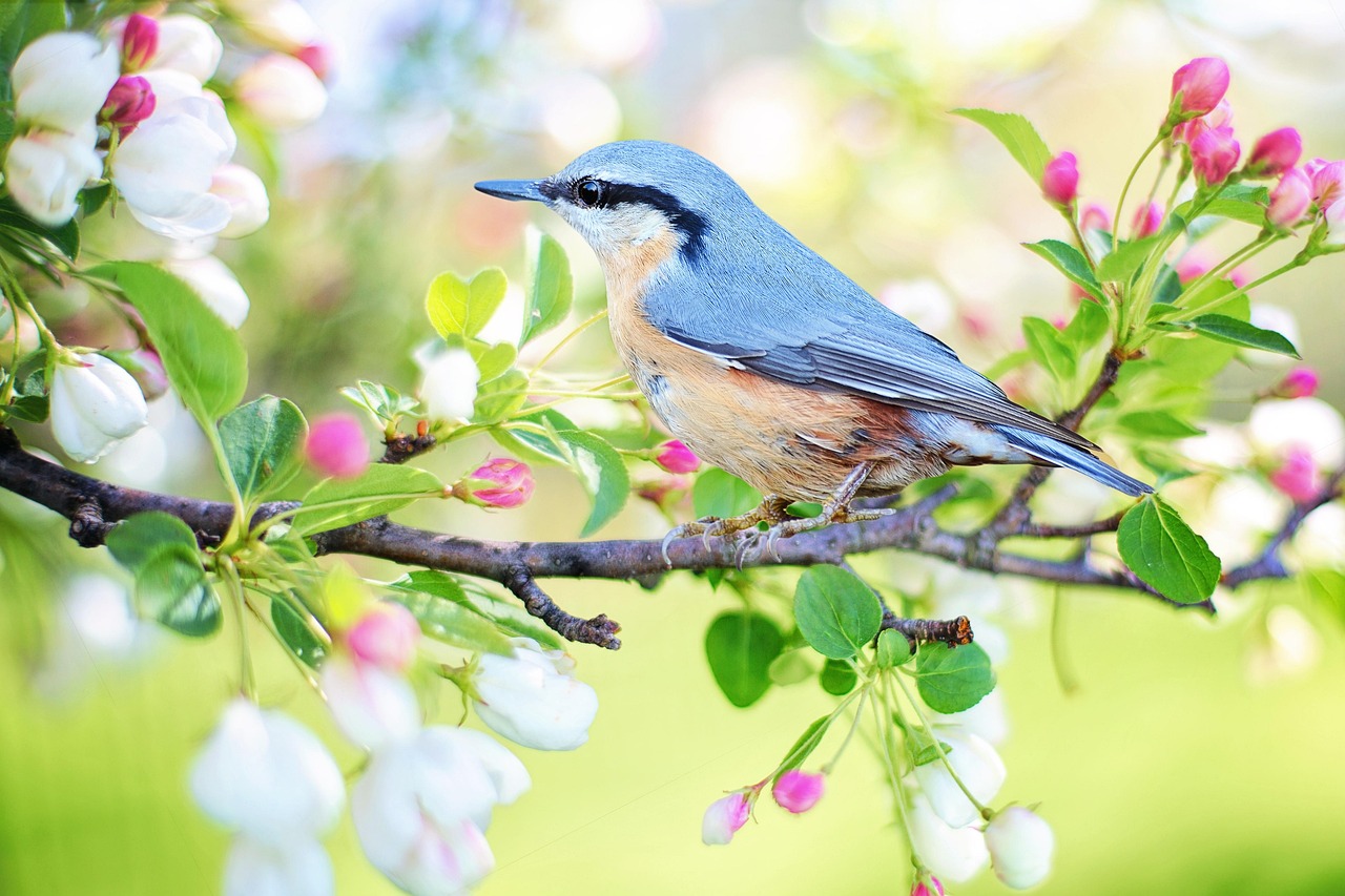 Écosystème naturel : Comprendre son importance pour la biodiversité