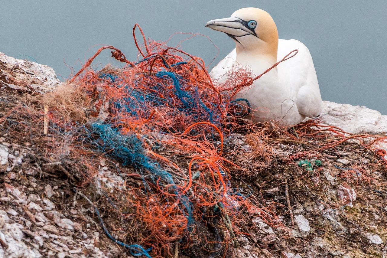 Climat : un appel à une plus grande responsabilité des États pour lutter contre la pollution marine liée au changement climatique, selon le Tribunal international du droit de la mer.