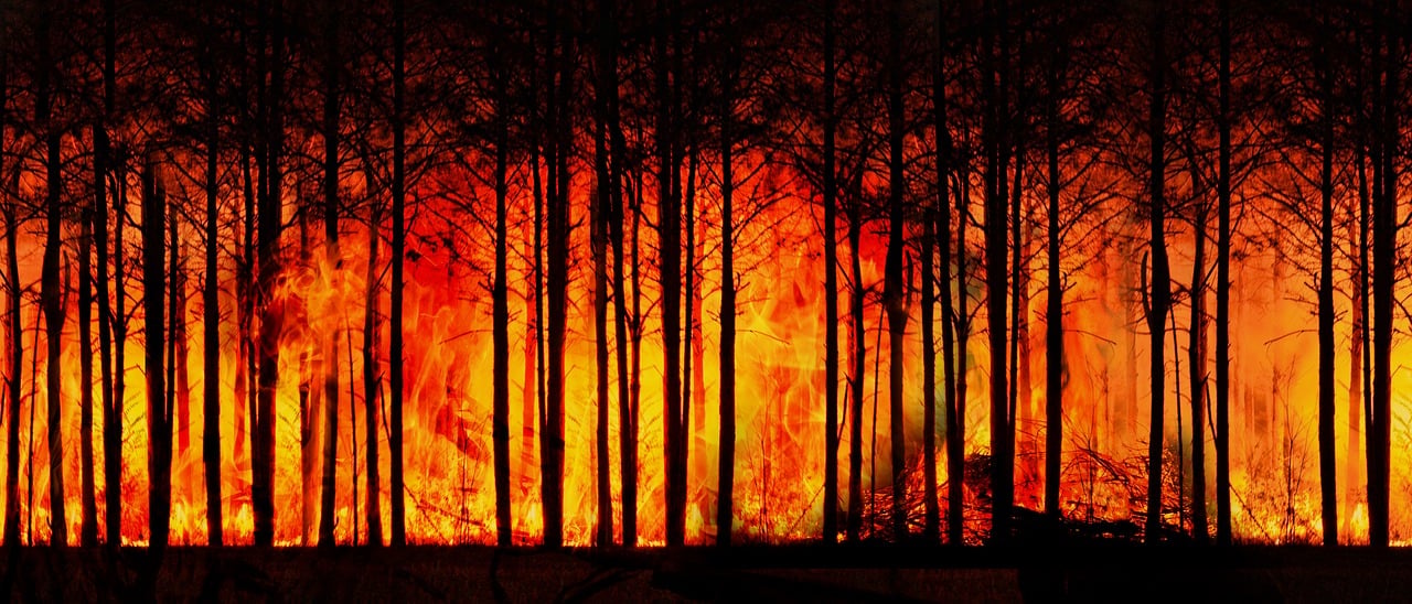Les effets du changement climatique sur l’agriculture mondiale : enjeux et stratégies d’adaptation