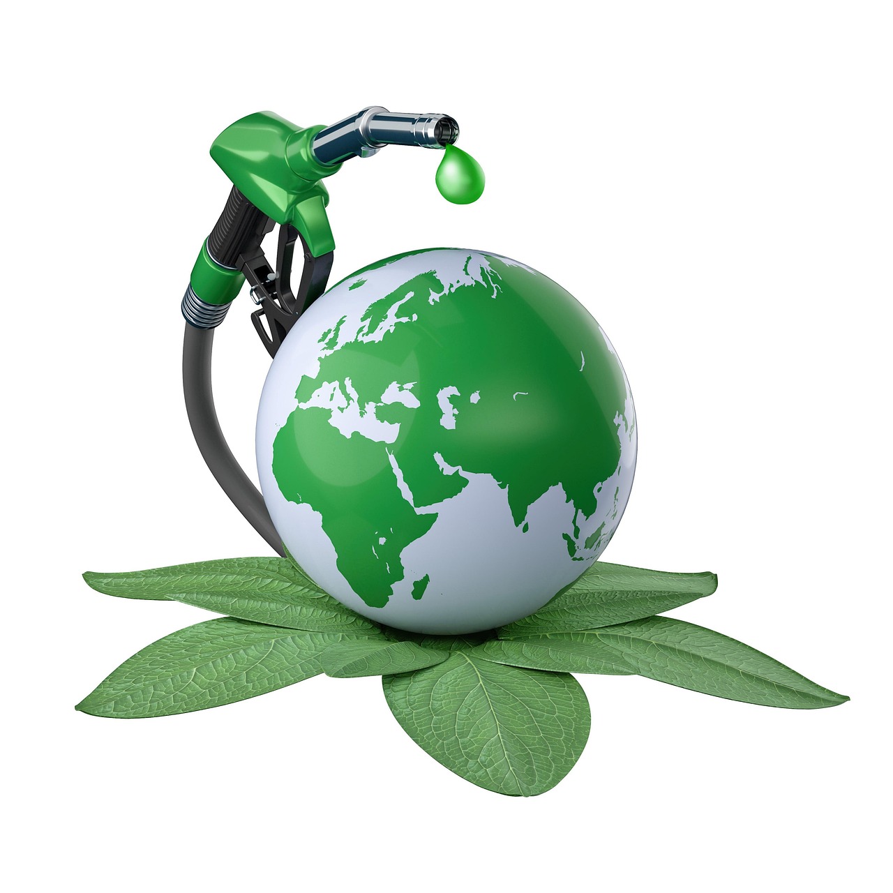 Ressources renouvelables : comprendre leur importance dans la transition énergétique