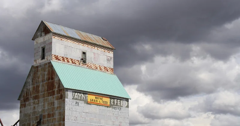 Pourquoi le Nebraska change tout au contenu