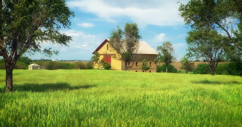 Nebraska : des initiatives politiques qui redonnent vie à la biodiversité