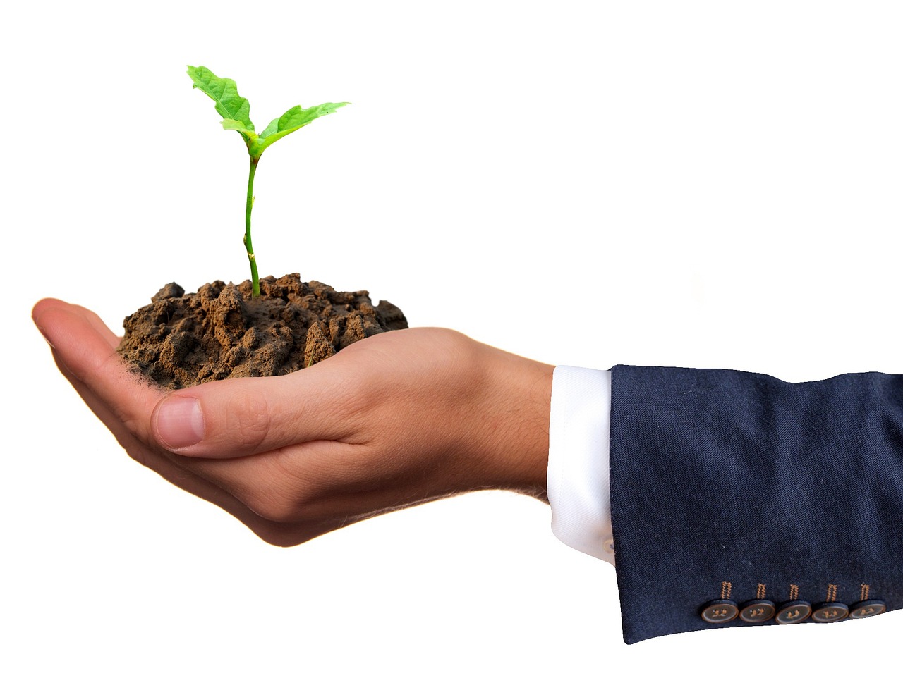 Écoresponsabilité des entreprises : pourquoi et comment s’engager pour un avenir durable