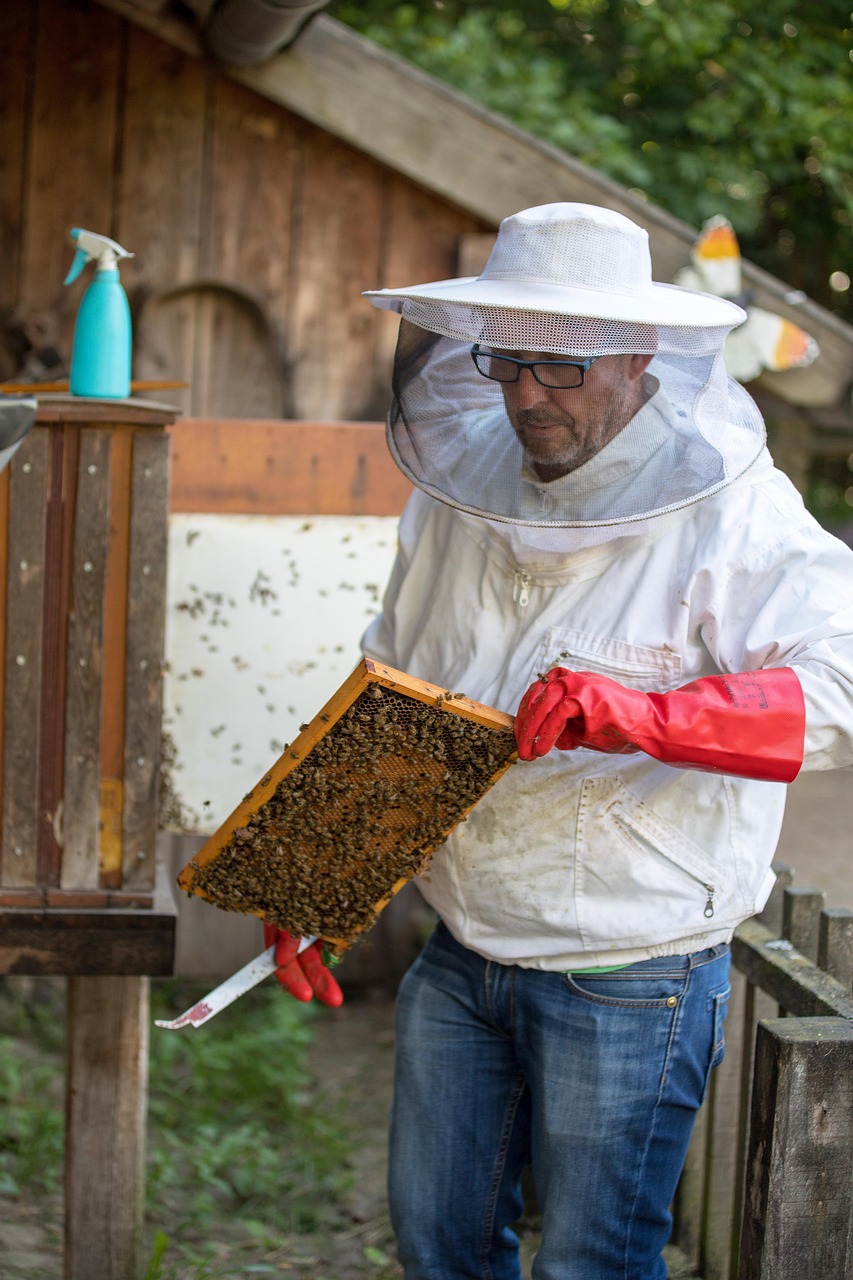 Les apiculteurs et leur rôle dans la préservation des abeilles