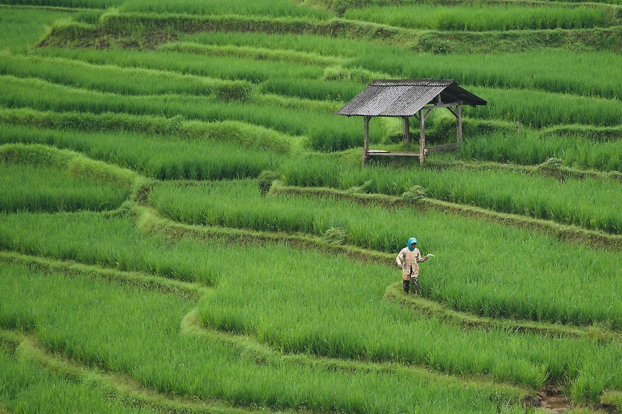 Agriculture durable : un atout pour la biodiversité