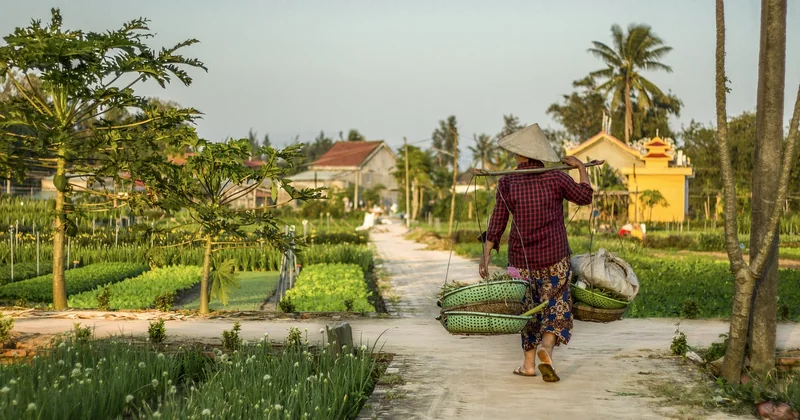 Comment fonctionne la gouvernance climatique locale