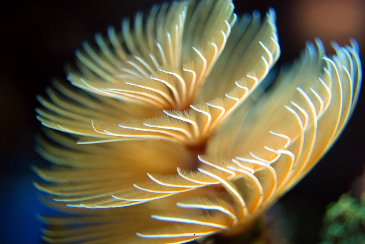 L’importance des écosystèmes aquatiques pour la biodiversité et la santé planétaire