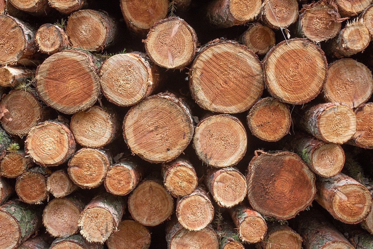 Les politiques de lutte contre la déforestation