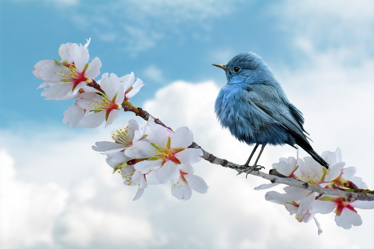 L’avenir s’écrit avec la nature
