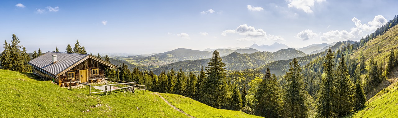One Forest Vision (OFVi) : Un engagement en harmonie avec le One Forest Summit