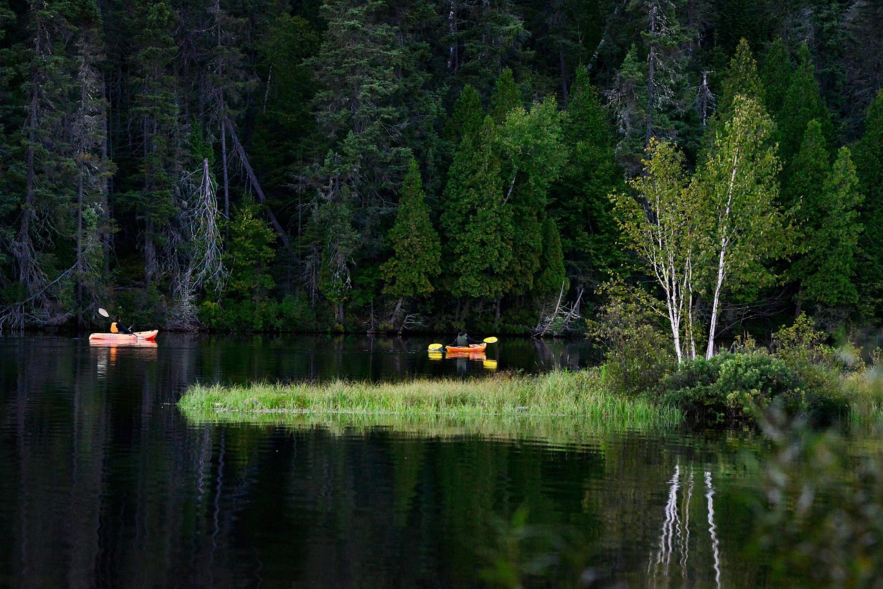 Biodiversité climatique : comprendre les enjeux pour notre planète