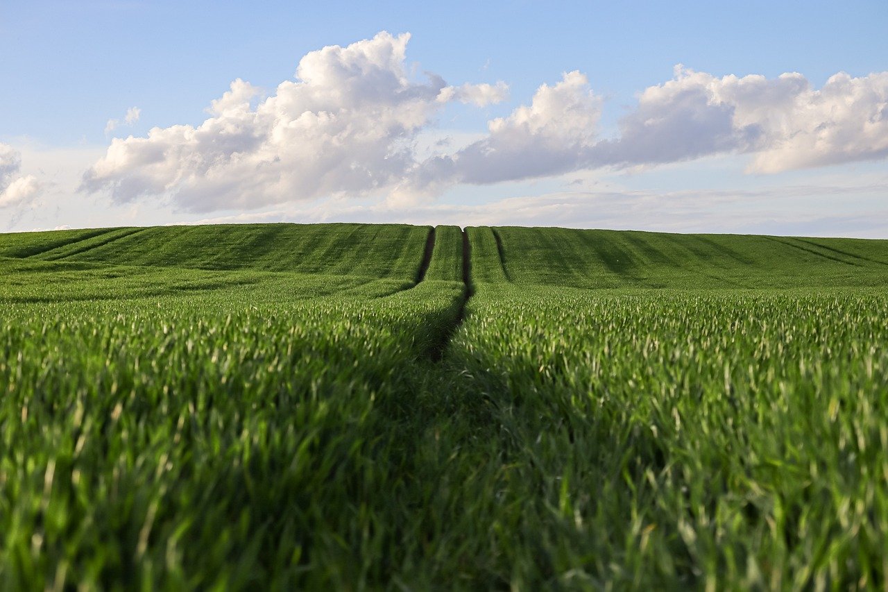 Agriculture face aux enjeux de l’eau et du climat : s’adapter pour relever les défis