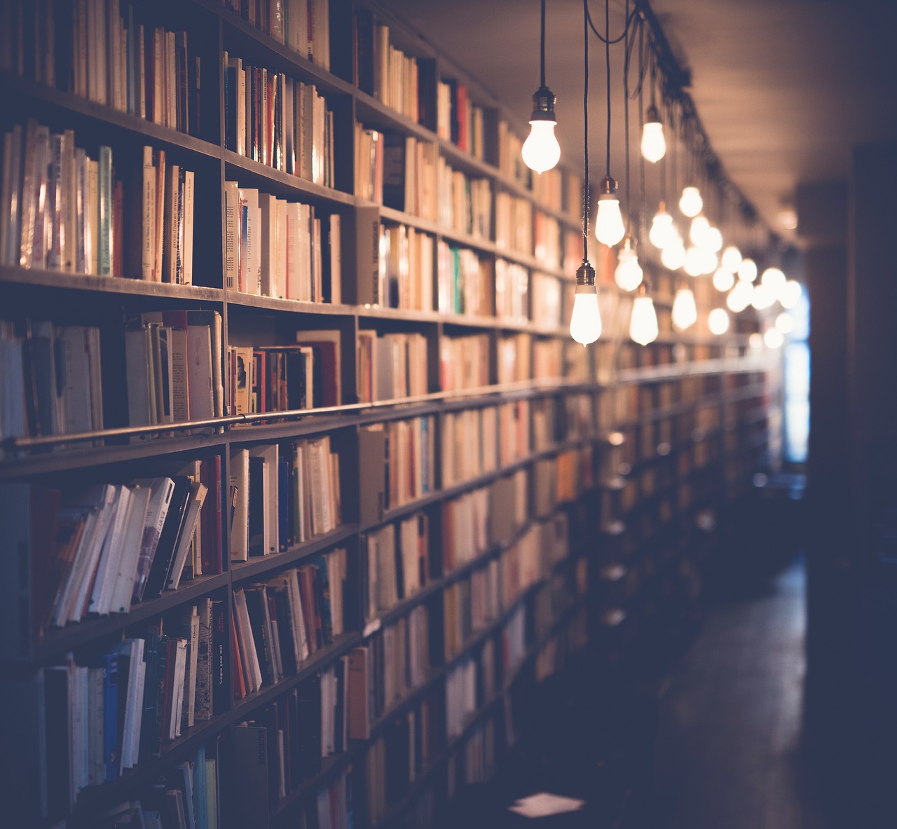 L’importance de l’éducation dans la préservation de notre environnement