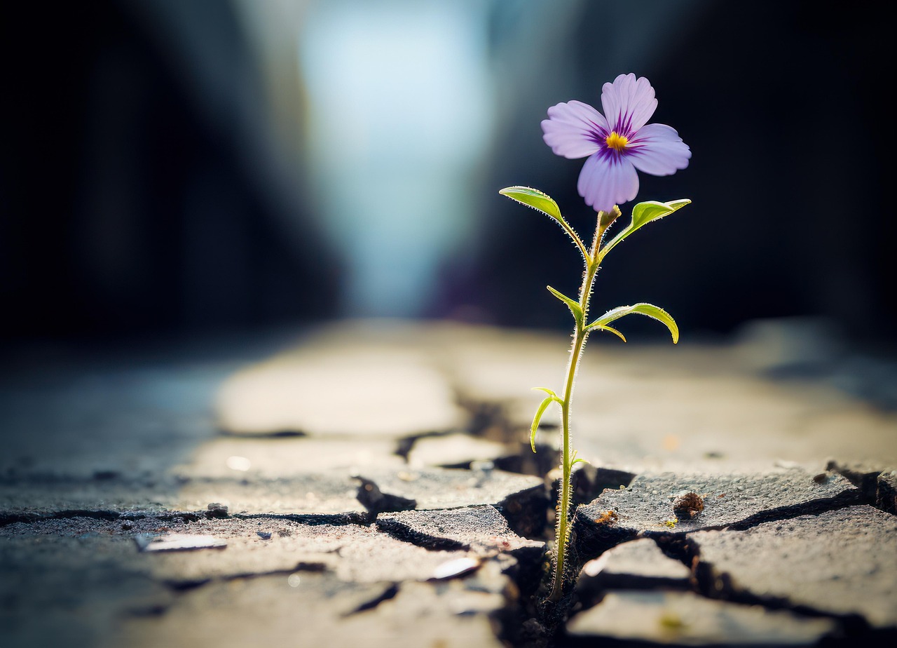 Récits de résilience face au changement climatique