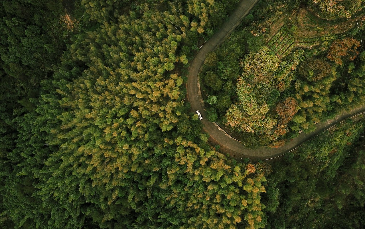 participez à notre journée de l'environnement, dédiée à sensibiliser et à promouvoir des actions durables pour protéger notre planète. ensemble, faisons la différence grâce à des ateliers, des conférences et des initiatives écologiques.