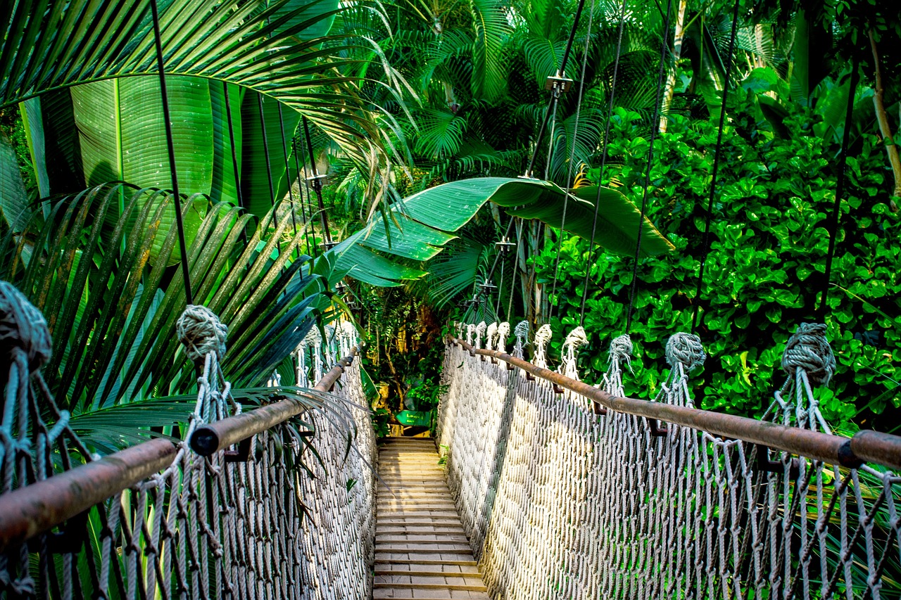 découvrez la richesse de la forêt amazonienne, un écosystème unique abritant une biodiversité incroyable. explorez ses secrets, sa faune, sa flore, et l'importance de sa protection pour l'équilibre climatique mondial.