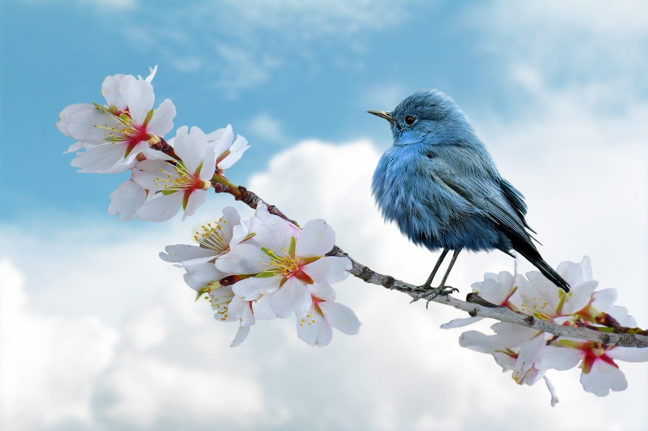 découvrez la beauté et la diversité de la nature : des paysages à couper le souffle, une faune fascinante et une flore riche. plongez dans un monde où l'harmonie et l'émerveillement se rencontrent.