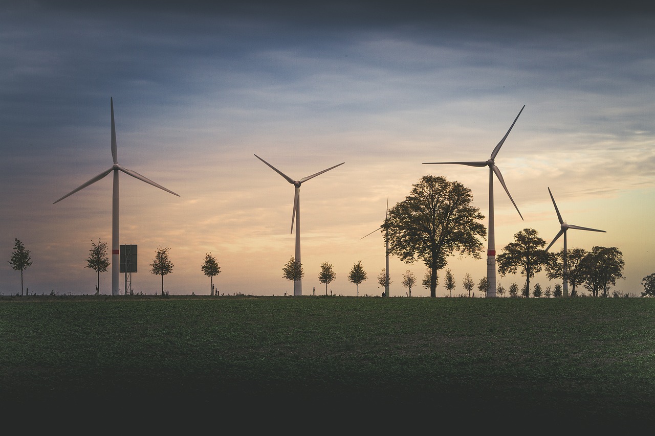 découvrez nos politiques environnementales engagées pour un avenir durable. apprenez comment nous contribuons à la protection de l'environnement et à la promotion du développement durable.