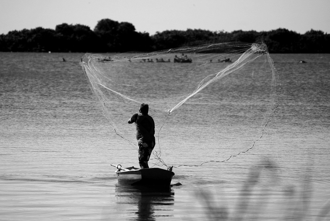 découvrez comment atteindre un objectif de zéro artificialisation des sols, une démarche essentielle pour préserver notre environnement et favoriser le développement durable. explorez les stratégies et initiatives pour réduire l'impact des activités humaines sur la nature.