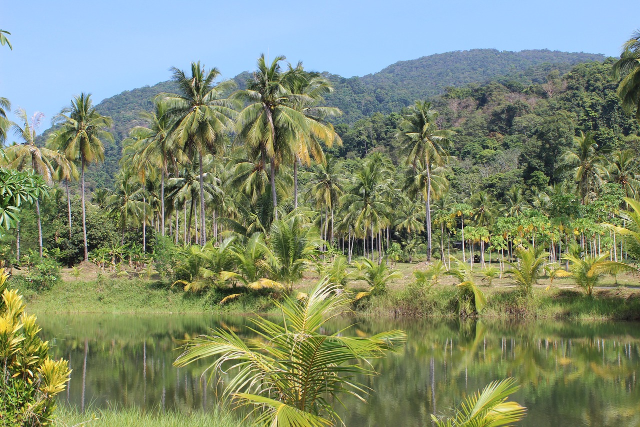 découvrez la majestueuse amazonie, une jungle dense et riche en biodiversité. plongez dans l'univers fascinant de la forêt amazonienne, habitat de milliers d'espèces animales et végétales, et explorez son rôle essentiel dans l'équilibre climatique de notre planète.