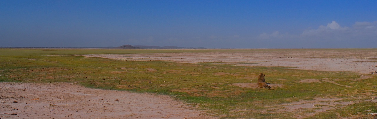 agissez pour le climat ! découvrez des solutions innovantes et des initiatives qui contribuent à la protection de notre planète. unissez vos efforts pour un avenir durable.