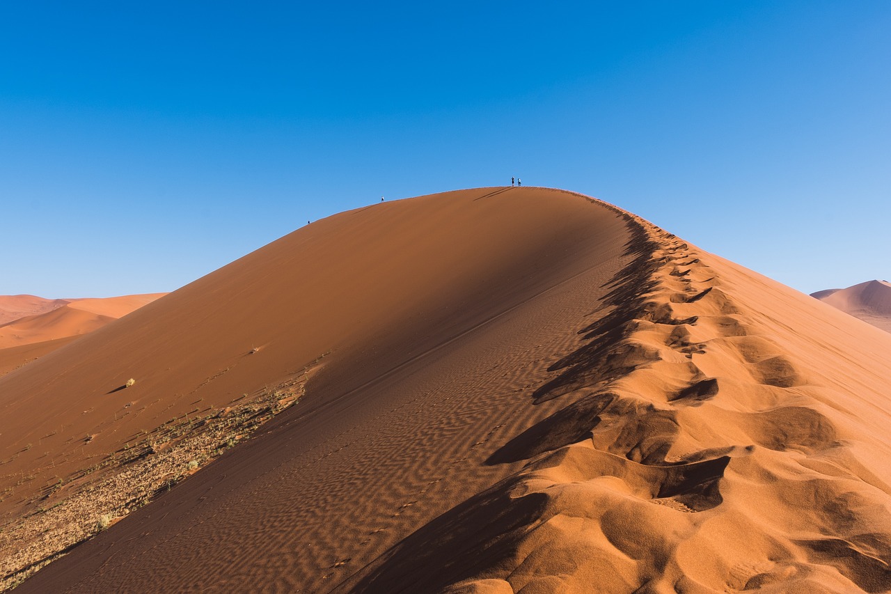 découvrez des stratégies efficaces et des solutions innovantes pour l'adaptation au changement climatique. explorez comment les communautés et les organisations s'ajustent face aux défis environnementaux croissants.