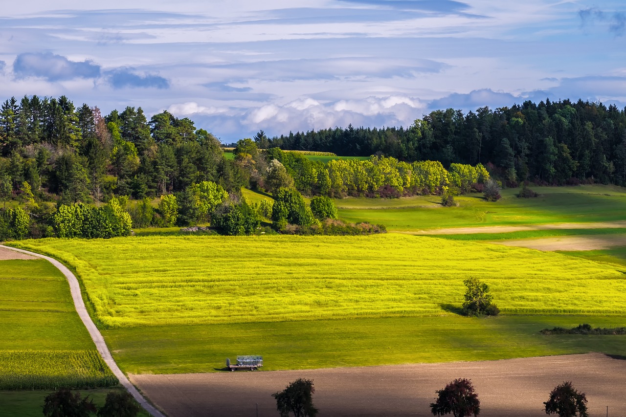 découvrez l'écologie, une science essentielle qui étudie les relations entre les êtres vivants et leur environnement. apprenez comment préserver notre planète et adopter des pratiques durables pour un avenir meilleur.